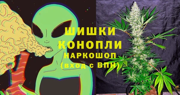 ешки Богданович