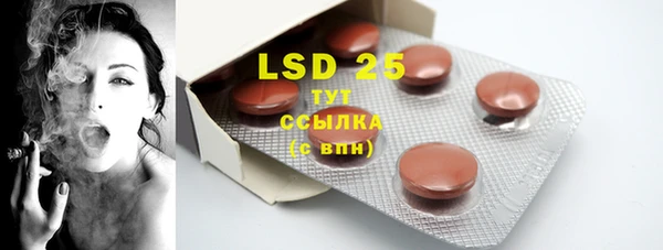ешки Богданович
