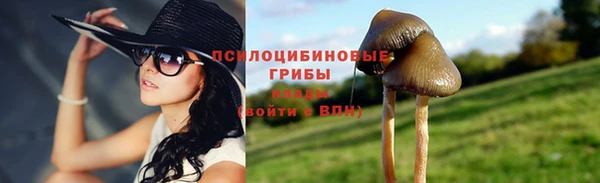 герыч Богородск