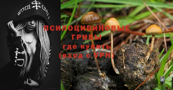 метадон Бородино