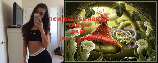 стафф Осинники